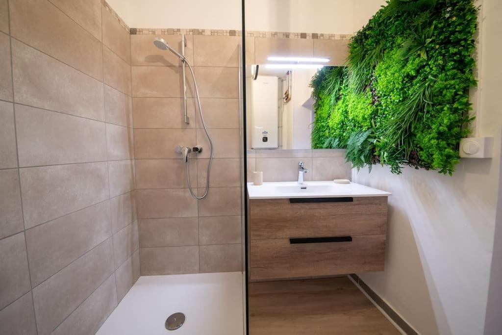 Un Cocon Au Coeur D'avignon Apartment Avignon